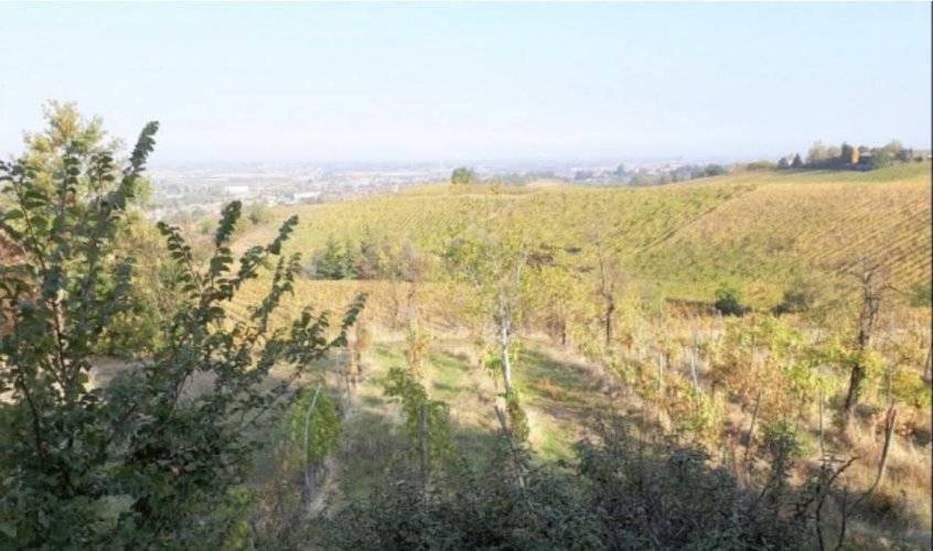 VILLETTA DA RISTRUTTURARE IN POSIZIONE COLLINARE MONTEBELLO Montebello della battaglia