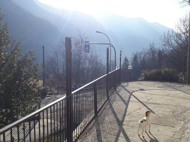 Quadrilocale Premolo