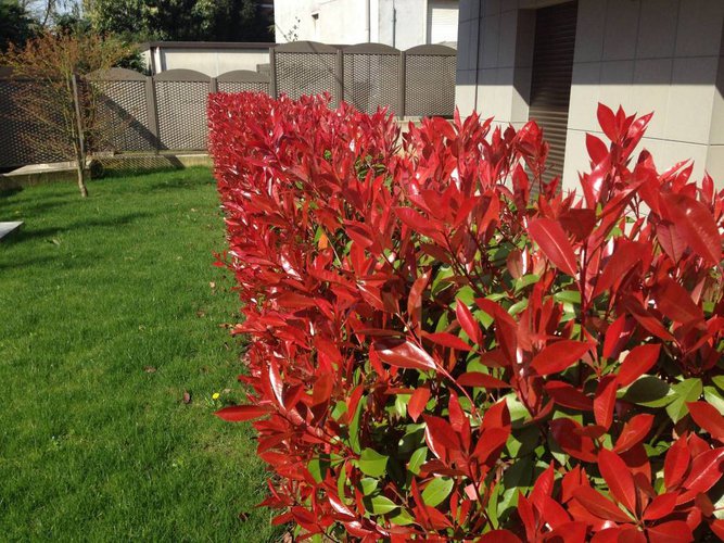 Fantastico nuovo attico su due livelli . Bergamo