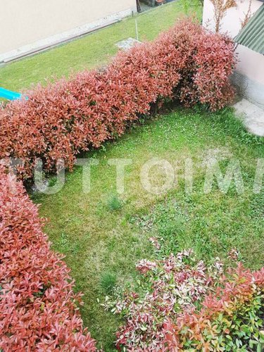TRILOCALE CON GIARDINO AD ALZANO IN ZONA RESIDENZIALE Alzano Lombardo