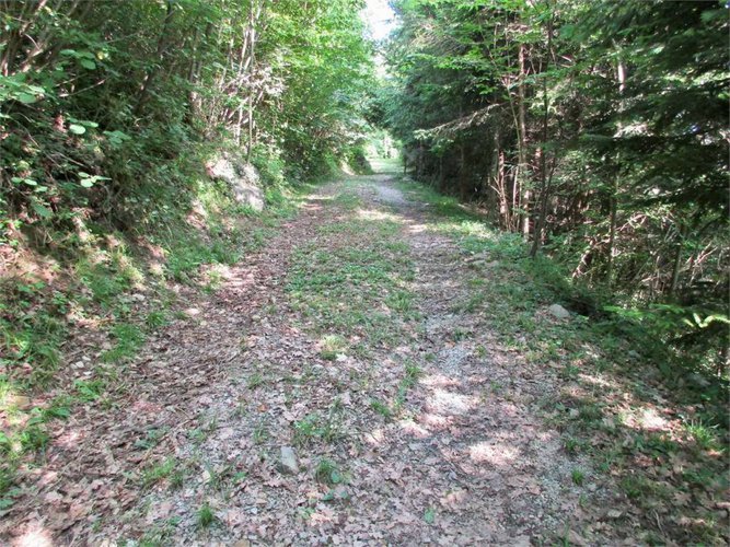 RUSTICO parzialmente da riattare Berbenno