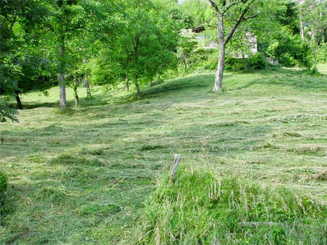 RUSTICO parzialmente da riattare Berbenno