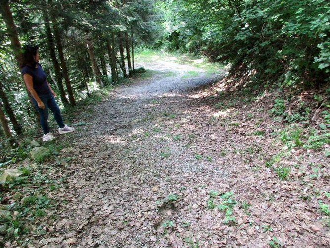 RUSTICO parzialmente da riattare Berbenno