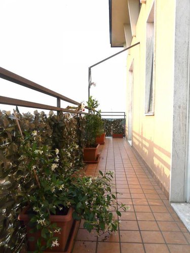 Verdello centro trilocale ampio + box ampio e cantina Verdello