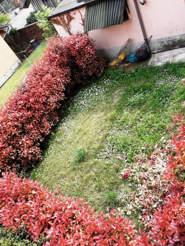 Grazioso trilocale con giardino, abitabile subito! Alzano Lombardo