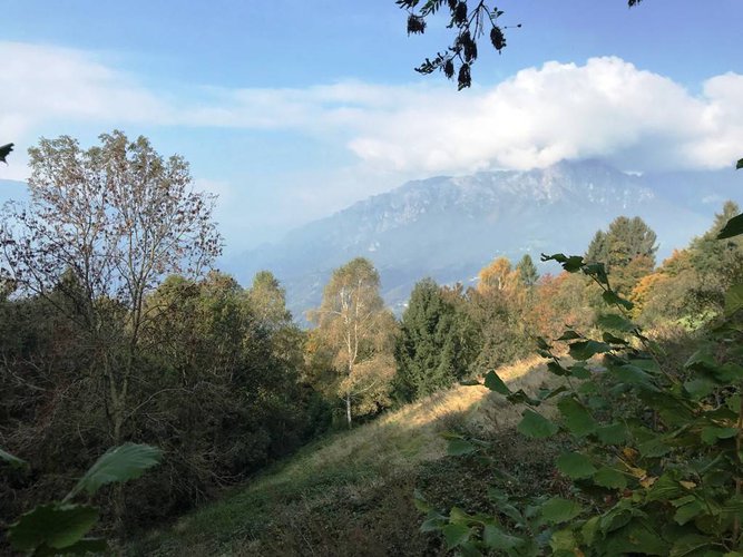 RUSTICO/BAITA/CASELLO CON 22.000 DI TERRENO Bergamo