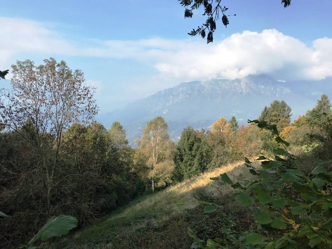 RUSTICO/BAITA/CASELLO CON 22.000 DI TERRENO Bergamo