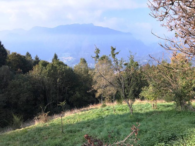 RUSTICO/BAITA/CASELLO CON 22.000 DI TERRENO San Pellegrino Terme