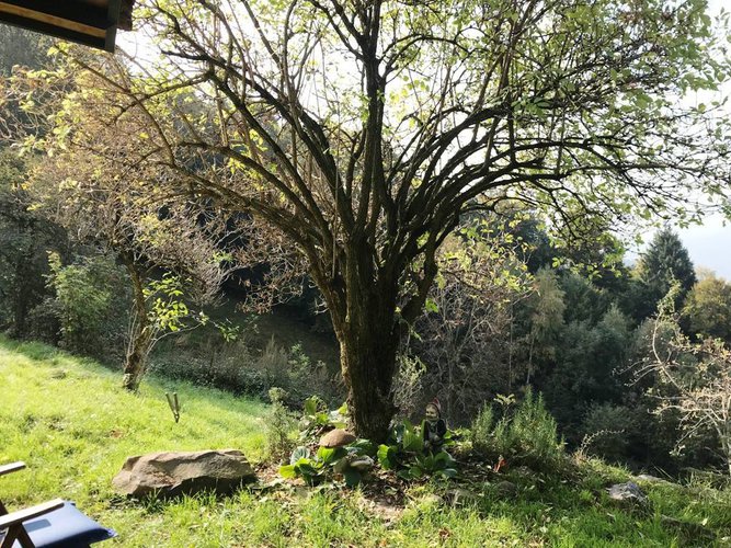 RUSTICO/BAITA/CASELLO CON 22.000 DI TERRENO San Pellegrino Terme