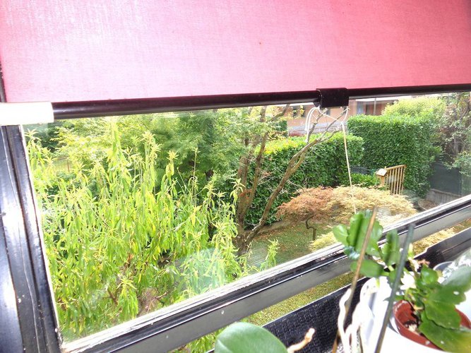 STEZZANO VILLA SINGOLA CON AMPIO GIARDINO Stezzano