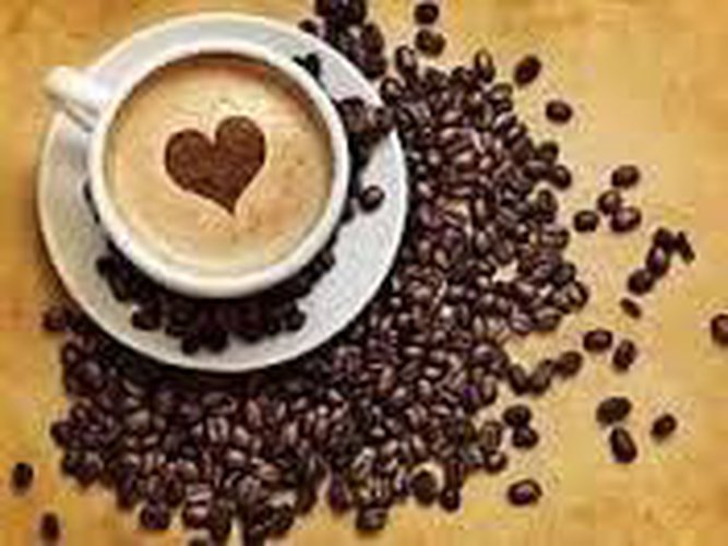 Bar Tavola Calda - Fredda Clusone