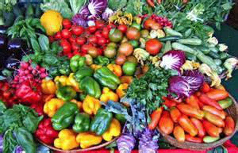 Alimentari - Gastronomia Bergamo