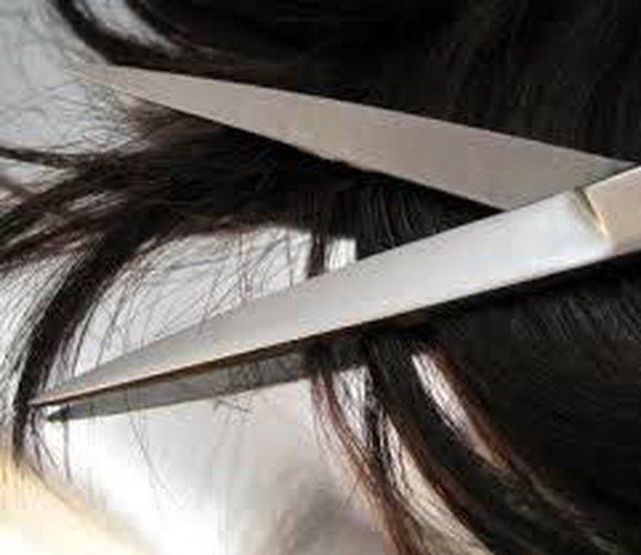 Parrucchieri Uomo - Donna Bergamo