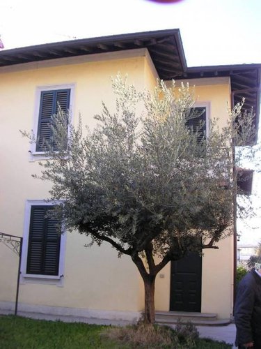 0909 Villetta bifamialiare di 200mq con giardino Bergamo