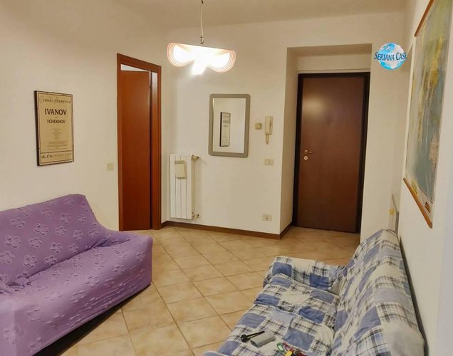 Bilocale parzialmente arredato e abitabile subito Albino