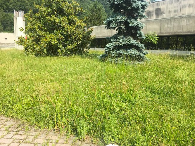 Vendita Capannone industriale a Calolziocorte Calolziocorte