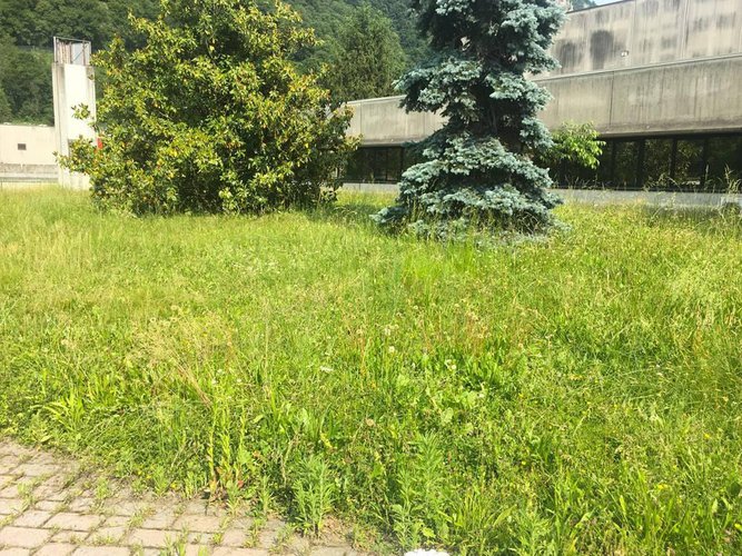 Vendita Capannone industriale a Olgiate Comasco Olgiate Comasco