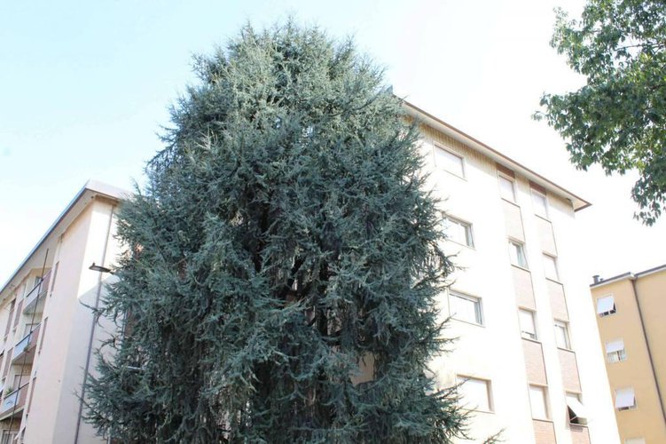 Trilocale ultimo piano nel quartiere di Loreto Bergamo