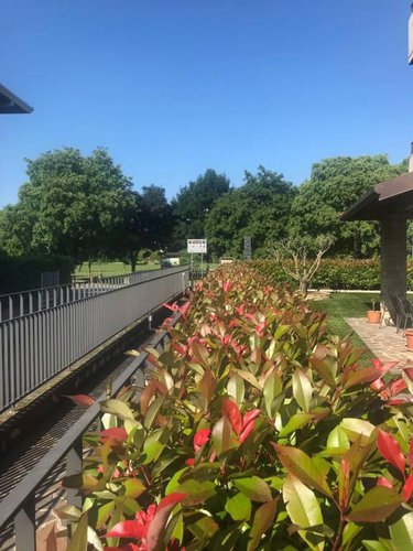 Appartamento con giardino Seriate