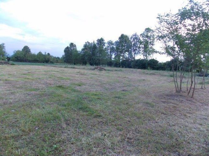 TERRENO AGRICOLO COLOGNO AL SERIO Cologno al Serio