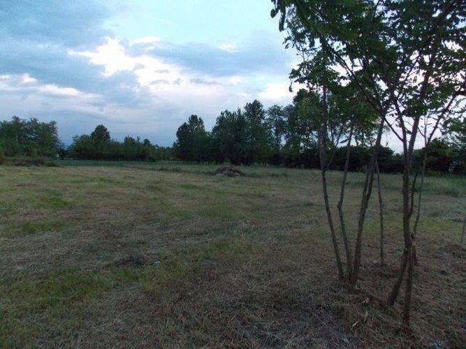 TERRENO AGRICOLO COLOGNO AL SERIO Cologno al Serio