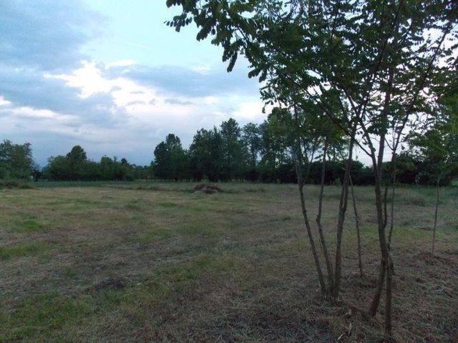 TERRENO AGRICOLO COLOGNO AL SERIO Cologno al Serio