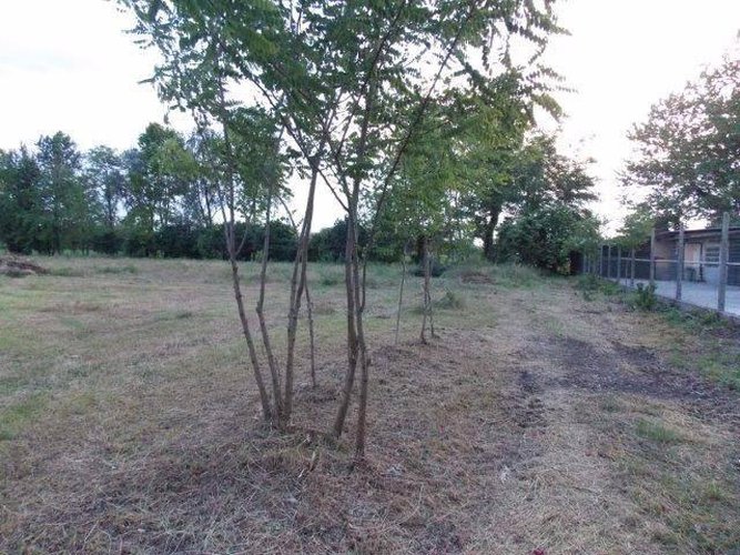 TERRENO AGRICOLO COLOGNO AL SERIO Cologno al Serio