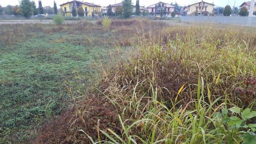 Terreno edificabile Ghisalba