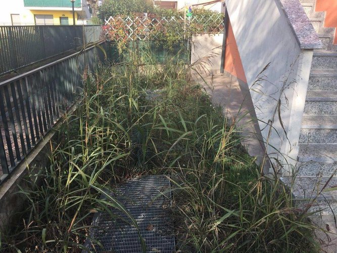 Trilocale Fara Olivana con Sola