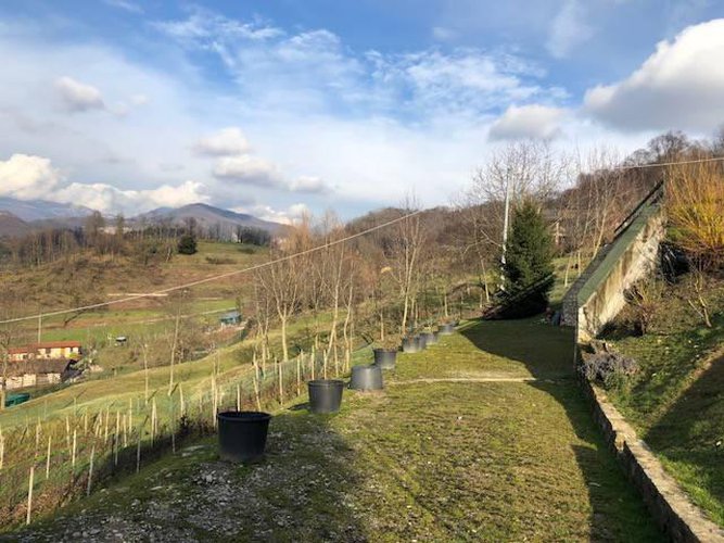 AMANTI DELLA NATURA!!! Carobbio degli Angeli