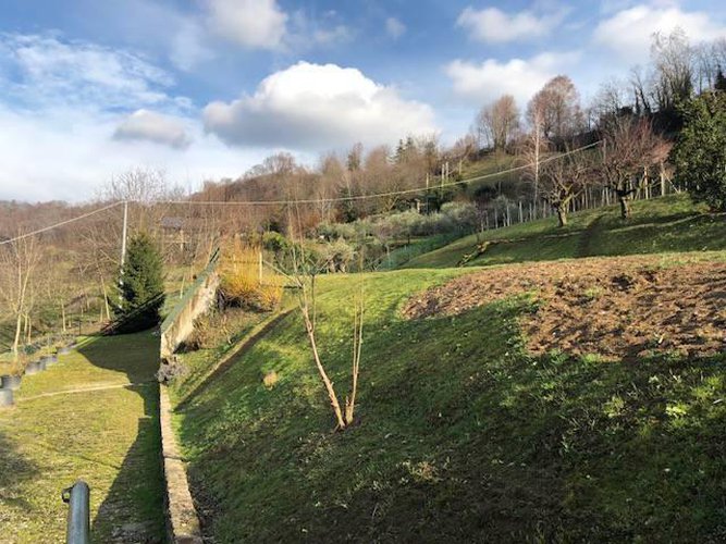 AMANTI DELLA NATURA!!! Carobbio degli Angeli