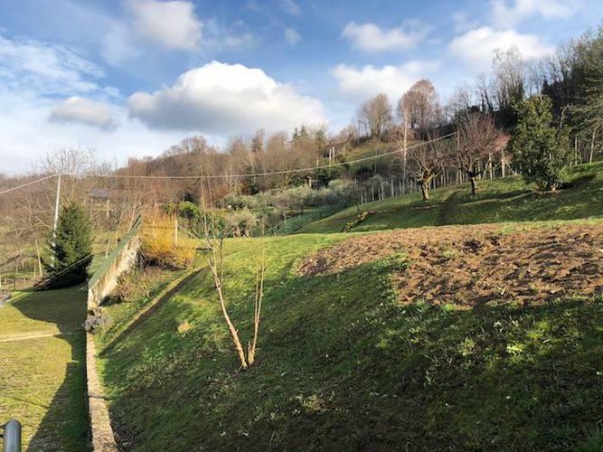AMANTI DELLA NATURA!!! Carobbio degli Angeli