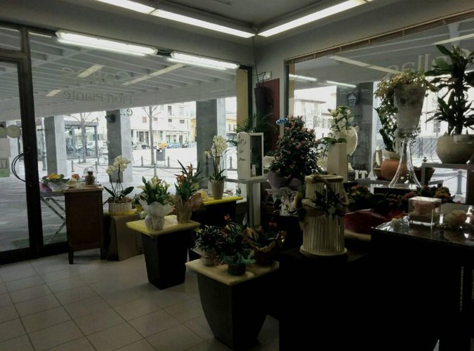 SEI UNA PERSONA CREATIVA? CERCHI UN LAVORO IN AUTONOMIA? ECC Grumello del Monte