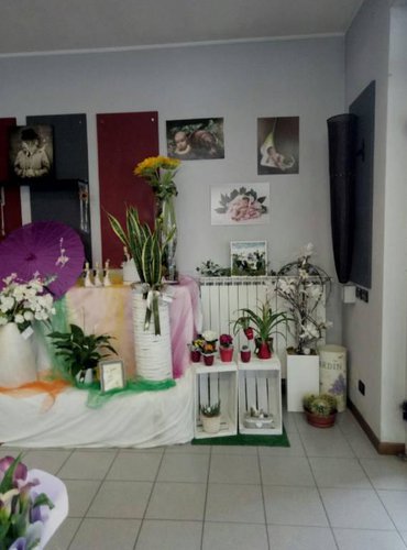 SEI UNA PERSONA CREATIVA? CERCHI UN LAVORO IN AUTONOMIA? ECC Grumello del Monte