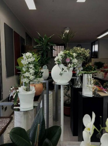 SEI UNA PERSONA CREATIVA? CERCHI UN LAVORO IN AUTONOMIA? ECC Grumello del Monte