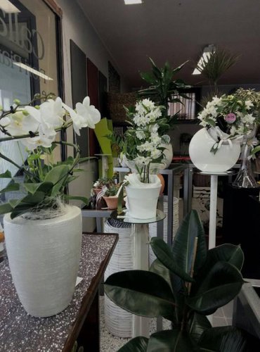 SEI UNA PERSONA CREATIVA? CERCHI UN LAVORO IN AUTONOMIA? ECC Grumello del Monte