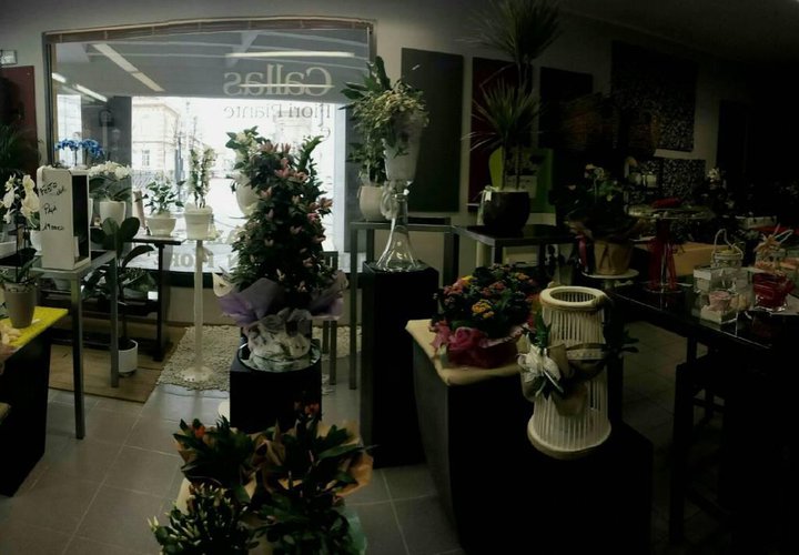 SEI UNA PERSONA CREATIVA? CERCHI UN LAVORO IN AUTONOMIA? ECC Grumello del Monte