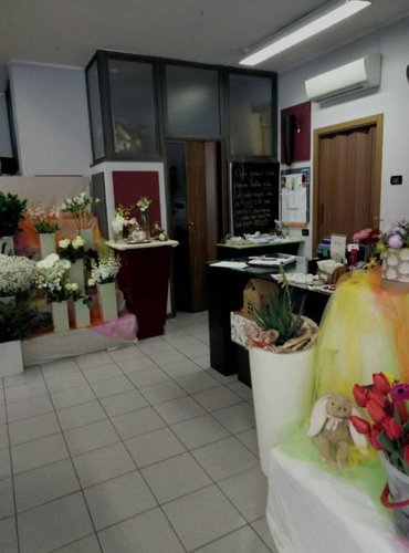 SEI UNA PERSONA CREATIVA? CERCHI UN LAVORO IN AUTONOMIA? ECC Grumello del Monte