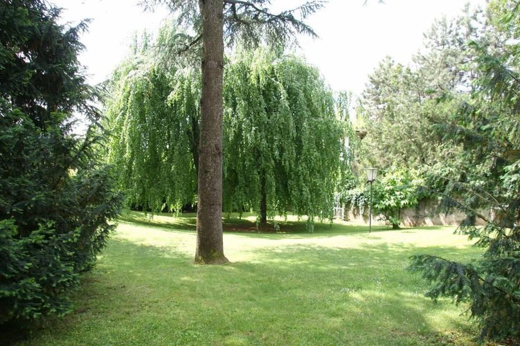 Villa Scanzorosciate