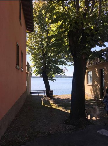 TERRENO EDIFICABILE CON VISTA PANORAMICA A PUSIANO (CO) Pusiano