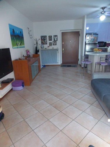 PALOSCO, TRILOCALE AL PIANO TERRA CON GIARDINETTO ESCLUSI Palosco