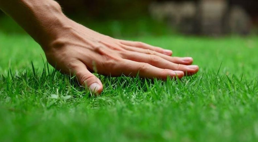 TRILOCALE Bonate Sopra