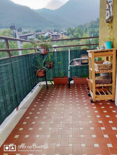 Grazioso bilocale con box, nessuna spesa condominiale Albino