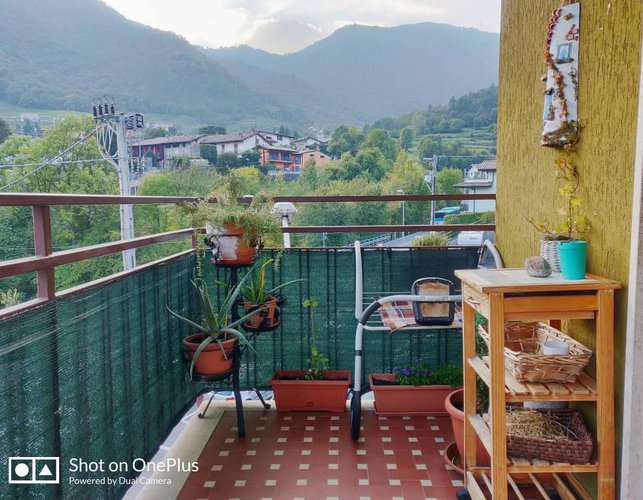 Grazioso bilocale con box, nessuna spesa condominiale Albino