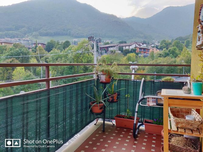 Grazioso bilocale con box, nessuna spesa condominiale Albino