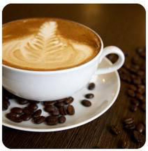 Bar Tavola Calda - Fredda