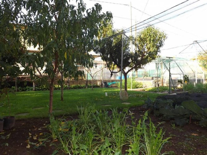 Villa su piano unico con ampio giardino Brusaporto