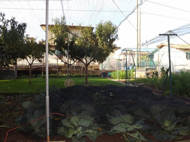 Villa su piano unico con ampio giardino Brusaporto