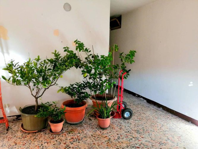 Endine, vista lago, vendesi vero affare! Endine Gaiano