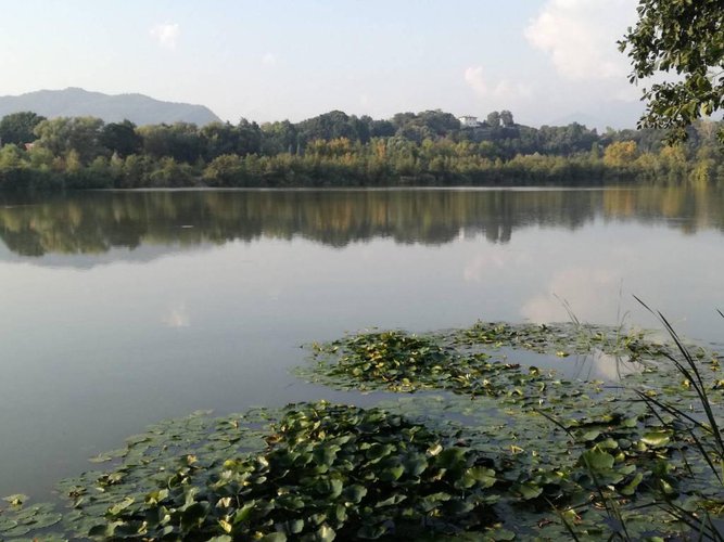 NUOVO, ARREDATO PRONTO DA ABITARE Merate